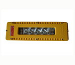 LED explosion-proof light 8W