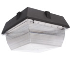 LED canopy fixtures